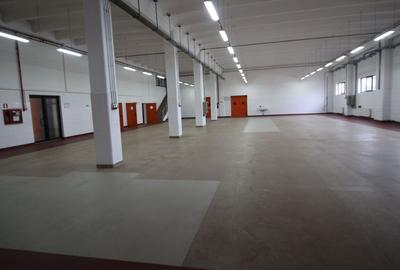 Hala productie    - Calea Torontalului de vanzare - 6