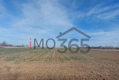 Teren de 550 mp, în Pârvu Roșu - 1