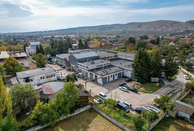 FILM! Ansamblu: Spatii comerciale, birouri, productie si similare, Sfantu Gheorg - 1