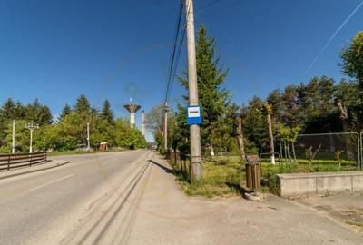 Inchiriere spatiu de depozitare 247 mp, curte 158 mp, Campul - 20