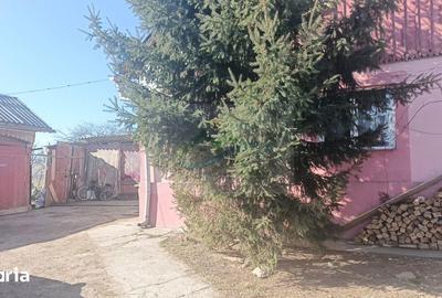 Casă cu 3 camere cu Teren 620 Mp în Coșna - 6