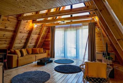 FILM! Ansamblu in circuit hotelier,5.700mp teren,Moieciu,constructie 2025 - 18