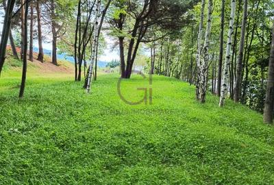 Teren intravilan superb in Cisnadioara pentru resedinta ta  privata de lux ! - 7