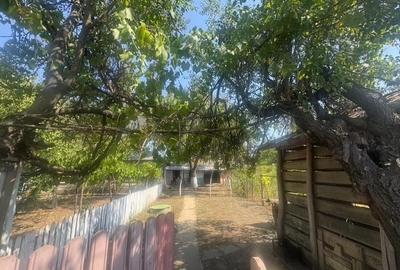 Casă cu 3 camere cu Teren 2800 Mp în Floroaica - 3