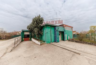Spațiu industrial, de 1,285 mp, în Dumbrăvița - 3
