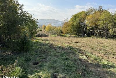 Teren de 1521 mp, în Băiculești - 4