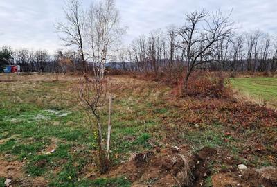 TEREN INTRAVILAN POLOVRAGI - 7