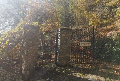 Casă cu 5 camere cu Teren 4200 Mp în Băile Herculane - 2