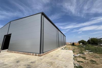 Vanzare depozit/hala/spatiu industrial Theodor Pallady - Gara Catelul - 1