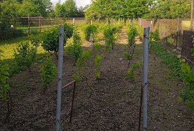 Casă cu 7 camere cu Teren 1200 Mp în Uliești