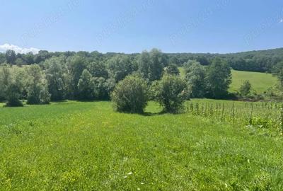 Teren de 2500 mp, în Central - 1