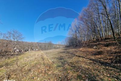 Teren de 4985 mp, în Sascut - 1