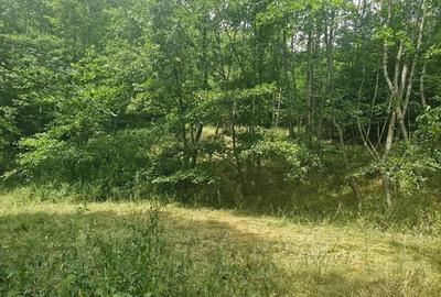 Casă cu Teren 1800 Mp în Anini - 1