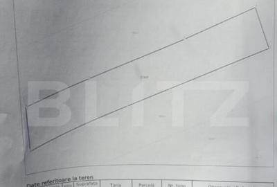 Teren 300 mp + Cabana,zona Livezile,Valea Lunga - 12