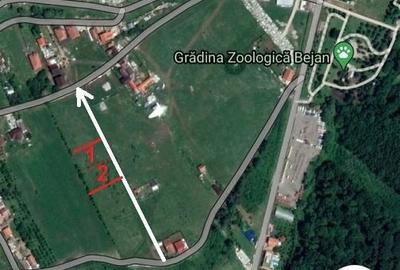 Teren în Bejan - 1