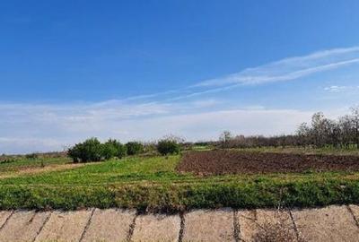 Teren extravilan, loc Obarsia, Jud Olt Teren extravilan, loc Obarsia, Jud Olt - 6