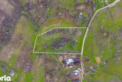 Teren de 33500 mp, în Bucov - 4