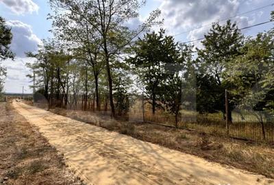 Teren de 29600 mp, în Central