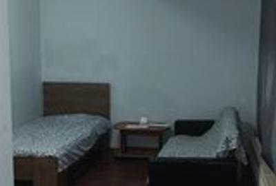 Dimitrie Cantemir, metrou, str. Amurgului - 2