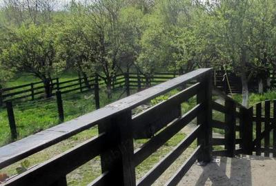 Casa de vanzare, Zona deosebita - 5