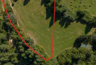 Investitie premium in turism-teren 6800mp langa lacuri Vulcan Brasov - 12