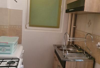Apartament cu 2 camere decomandat, mobilat în Sala Palatului - 8