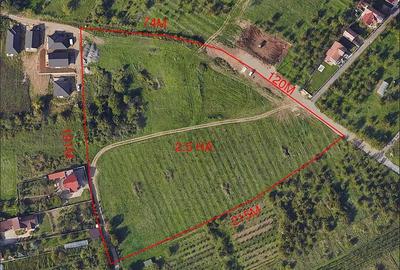 25.000 Mp. teren intravilan - cartierul ONCEA - IMOBIHOR - 2