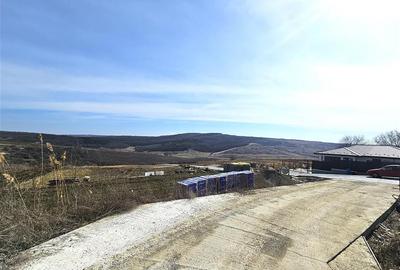 Teren Construcții intravilan de 500 mp, în Dorobanț - 1