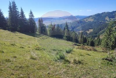 Teren 24,581mp Panaci / Strada Mihailet - 10