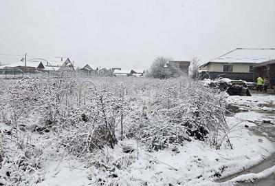 Teren de 1712 mp, în Moșoaia - 1