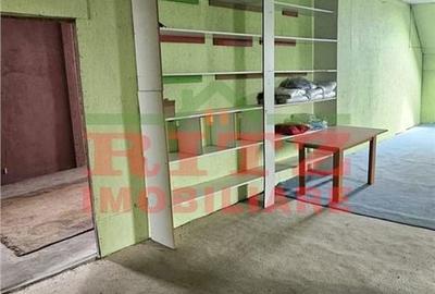 Spațiu comercial, de 250 mp, în Studina - 11