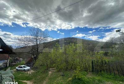Casă cu 4 camere cu Teren 12186 Mp în Rapoltu Mare - 2