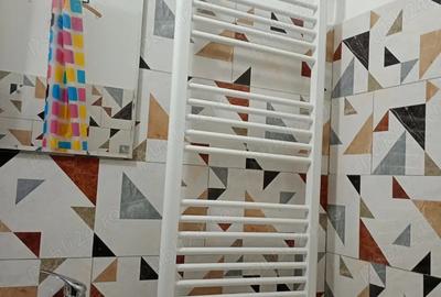 Garsoniera renovata zona Dorna centrala termica - 7