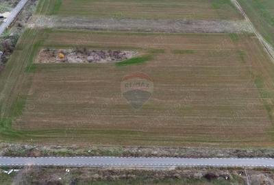 Teren de 6400 mp, în Miniș