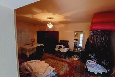 Casă cu 2 camere în Bârsău - 8