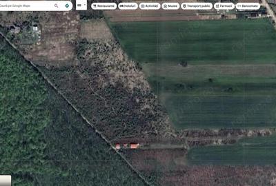 `Teren cu dubla deschidere, langa padure, Snagov - Strada Parcului - 1