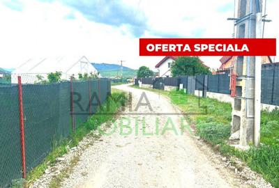TEREN INTRAVILAN DE VANZARE CARPINI?, COM. TARLUNGEN - 3