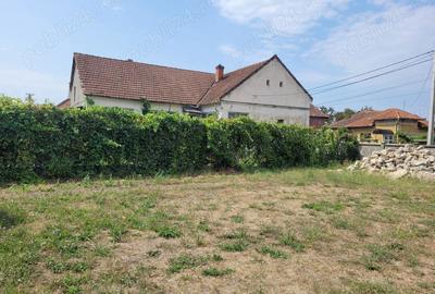 Casă în Topa de Criș - 1