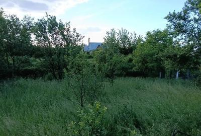 Teren de 210 mp, în Doicești - 1