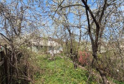 Casă individuală cu 2 camere cu Teren 550 Mp în Teliucu Inferior - 2