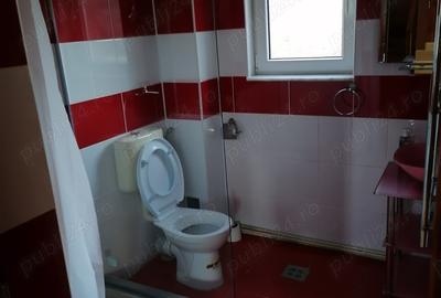 Vand casa finalizata in 2014, in Carbunari, la 12KM de Baia Mare, langa padure. - 6