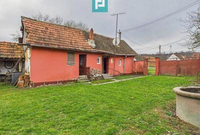 Casa, anexa si gradina Dorgos - 6