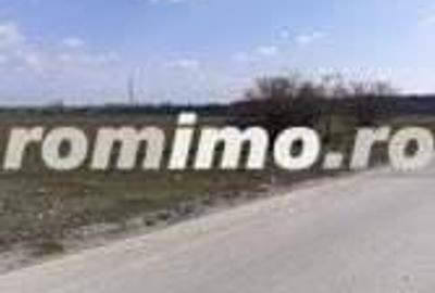 Teren intravilan 10.000 -38.000 mp industrial 1 Decembrie- DN5 stradal - 1