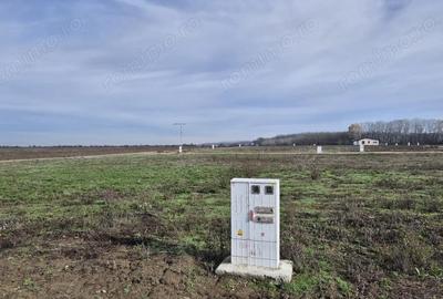 Teren de 638 mp, în Crevedia - 4