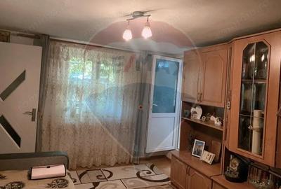 Casă cu Teren 1043 Mp în Dochia - 2