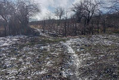 Casă cu 2 camere în Central - 2