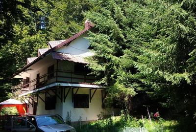 Casă cu 6 camere în Cheia - 5
