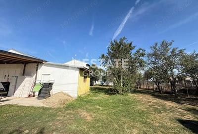 Spațiu comercial, de 700 mp, în Bucovăț (Remetea Mare) - 5