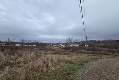 Teren intravilan de 647 mp, în Paleu - 5