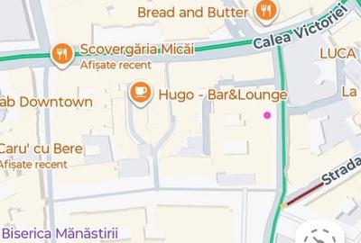 Spatiu restaurant 100 mp - 9